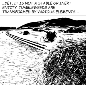 A black-and-white woodcut-style image of a tumbleweed in the foreground with a long country road and mountains in the background. A caption reads: "…YET,IT IS NOT A STABLE OR INERT ENTITY. TUMBLEWEEDS ARE TRANSFORMED BY VARIOUS ELEMENTS --"