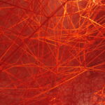 A dense web of overlapping red threads from an installation by Chiharu Shiota
