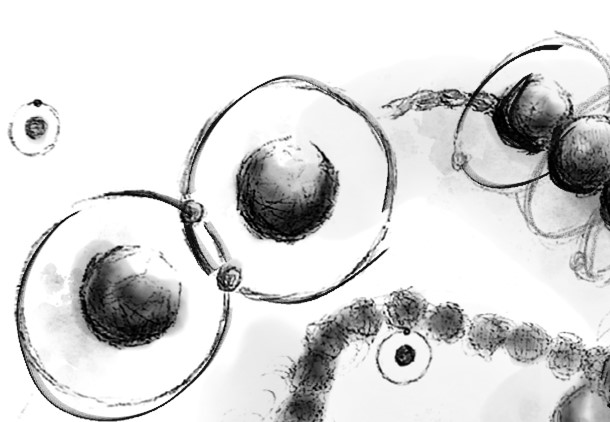 An image of atoms, not quite touching, but bonded by electrons