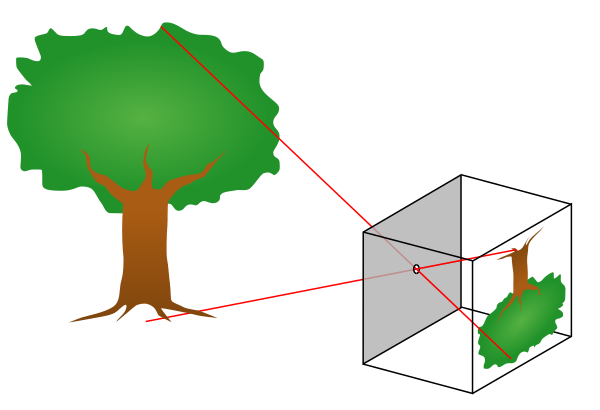 A diagram depicts how the limited beams of light moving through the pinhole of a camera obscura results in a flipped image